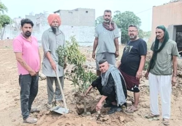 Planted trees with the support of NRI to save the environment